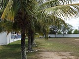 Castro Alves