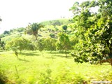 Castro Alves